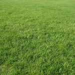 How self-isolation has evened the playing field for people with severe mental illnesses mental-illness-playing-field