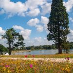 Accessible Staffordshire by Caroline Butterwick pg-11.-travel-staffordshire-trentham-gardens