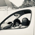 4-5-a-ballet-of-leaves (1)