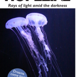 Welcome to summer Hopezine 2025 hopezine-cover