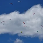 pages-10-11-ericas-dream