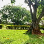 pages-4-5-star-zahra